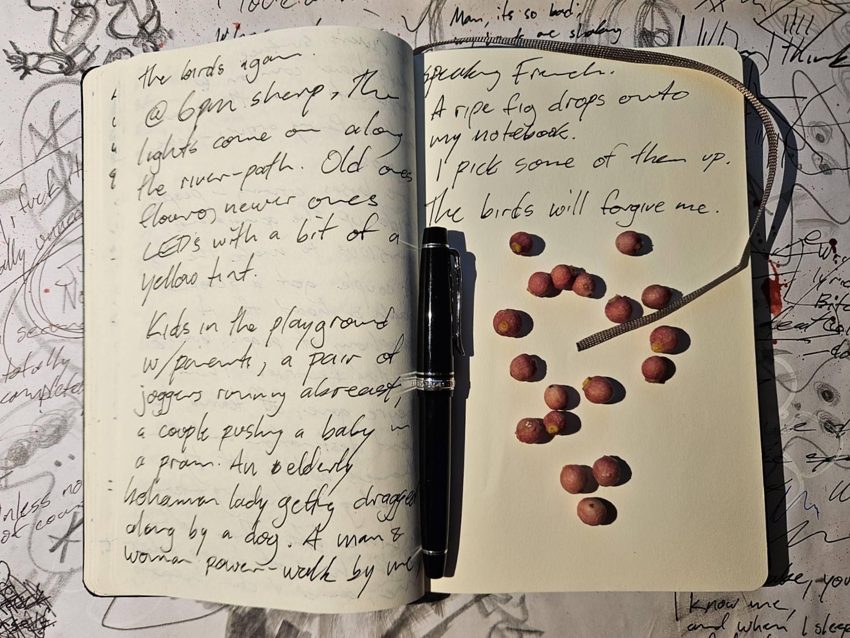 Morning River Notes